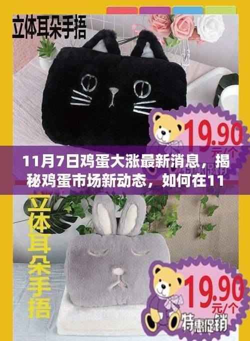 揭秘鸡蛋市场新动态,把握11月7日鸡蛋大涨行情的全方位步骤指南