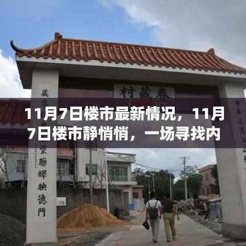 寻找内心平静，11月7日楼市最新动态与逃离之旅