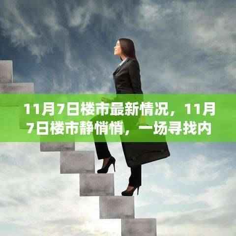 寻找内心平静,11月7日楼市最新动态与逃离之旅