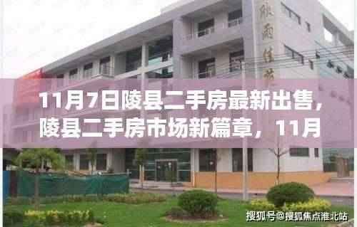 11月7日陵县二手房市场最新动态与深度观察,开启新篇章