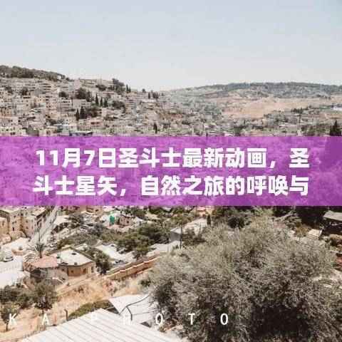 圣斗士星矢最新动画,自然之旅的呼唤与内心宁静之道揭秘