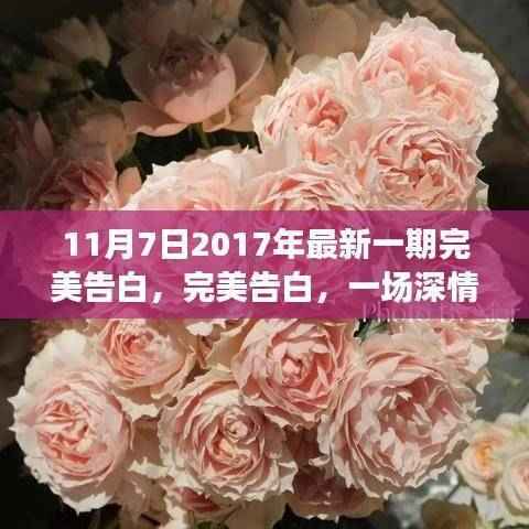 深情与勇气的邂逅,小红书社区分享的完美告白