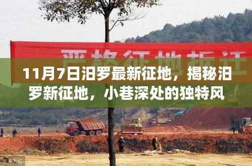 揭秘汨罗最新征地,小巷深处的独特风味与味蕾的双重盛宴