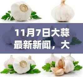 11月7日大蒜最新新闻,探秘自然秘境的味觉之旅