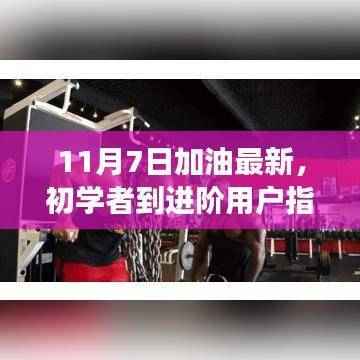 初学者到进阶用户指南,11月7日加油任务与技能提升全面步骤详解