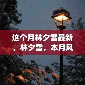 商品分类 第605页