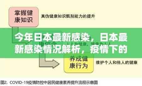 日本最新感染情况解析,疫情下的挑战与应对策略