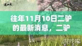 二驴秋日奇遇揭秘，自然美景之旅的最新篇章（往年11月10日最新消息）
