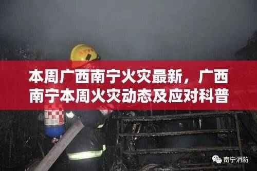 广西南宁本周火灾最新动态,火灾科普与应对进展