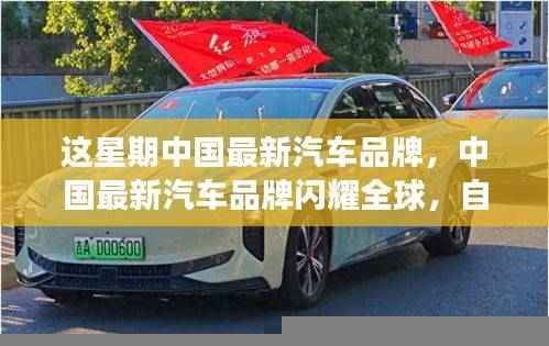 商品分类 第603页