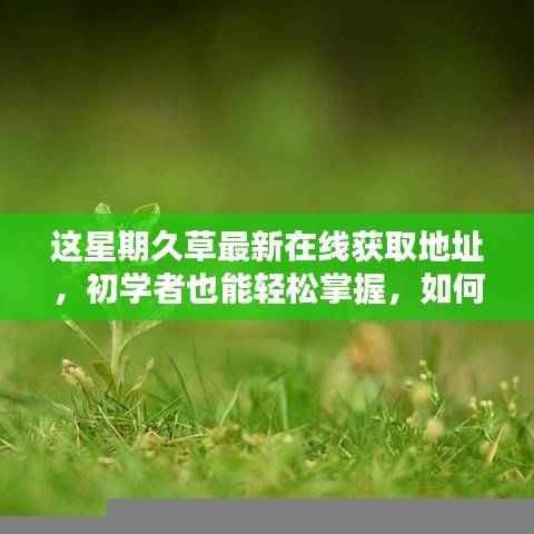 关于久草最新在线资源的安全访问指南,初学者也能轻松掌握的安全获取与访问指南