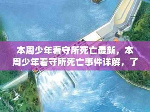 少年看守所死亡事件真相揭秘,最新进展与详解