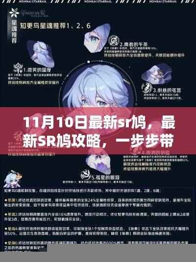 最新SR鸠攻略,从入门到高手的指南(适用于初学者与进阶用户)