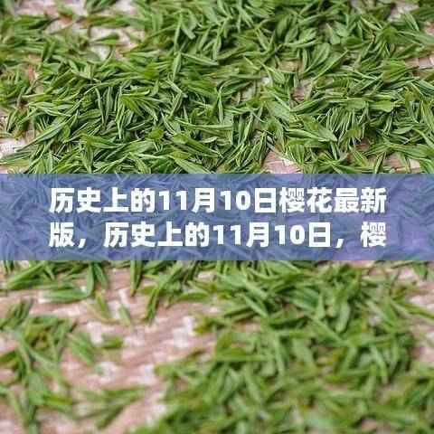 历史上的11月10日樱花最新版深度测评与介绍