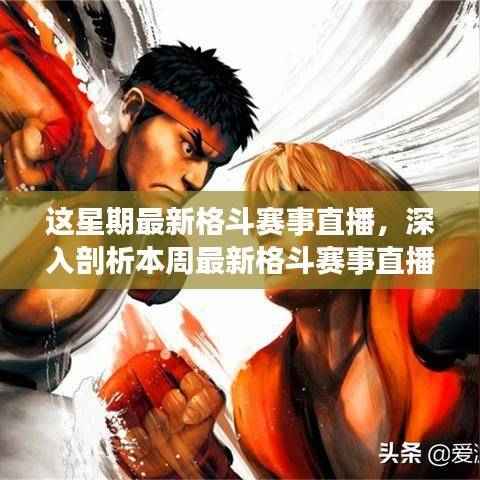 某某视角下的深度观察，本周最新格斗赛事直播解析与感悟