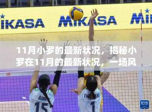 揭秘风云变幻中的小罗,最新状况探讨