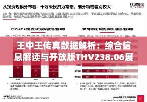 王中王传真数据解析:综合信息解读与开放版THV238.06展示