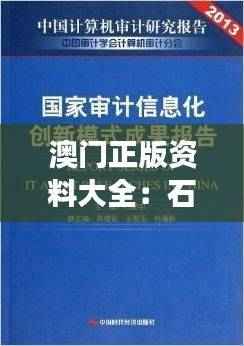 澳门正版资料大全:石贫资料详释,综合数据创新版FKX13.91解读