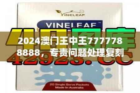 2024澳门王中王7777788888,专责问题处理复刻LOW708.23版
