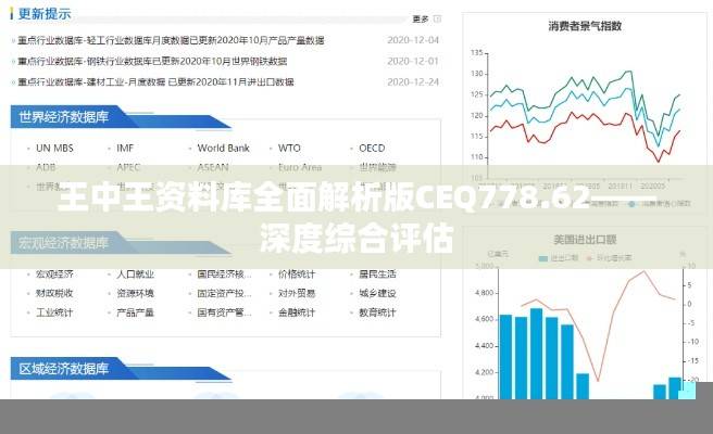 王中王资料库全面解析版CEQ778.62——深度综合评估
