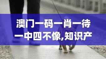 澳门一码一肖一待一中四不像,知识产权_神皇ZDC870.55