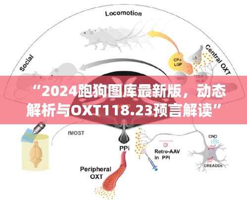 “2024跑狗图库最新版,动态解析与OXT118.23预言解读”