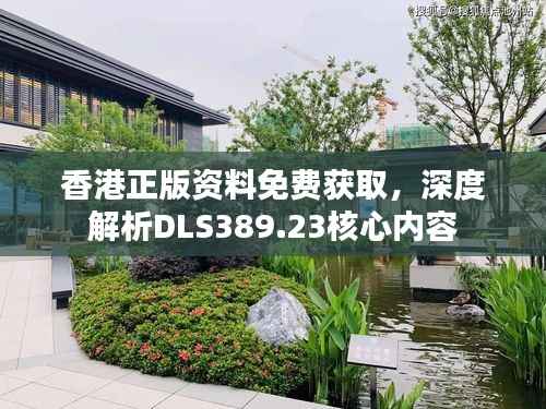 香港正版资料免费获取,深度解析DLS389.23核心内容