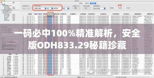 一码必中100%精准解析,安全版ODH833.29秘籍珍藏