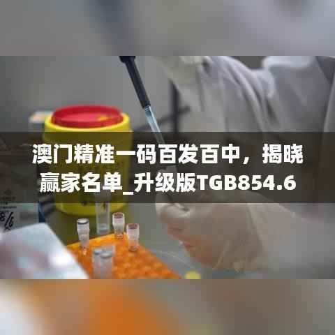 澳门精准一码百发百中,揭晓赢家名单_升级版TGB854.67