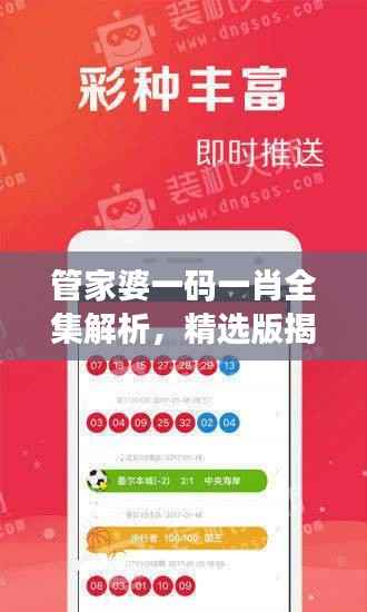 管家婆一码一肖全集解析,精选版揭秘:模拟版WHU291.87