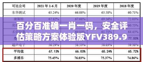 百分百准确一肖一码,安全评估策略方案体验版YFV389.99