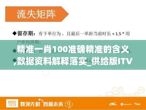 精准一肖100准确精准的含义,数据资料解释落实_供给版ITV838.56