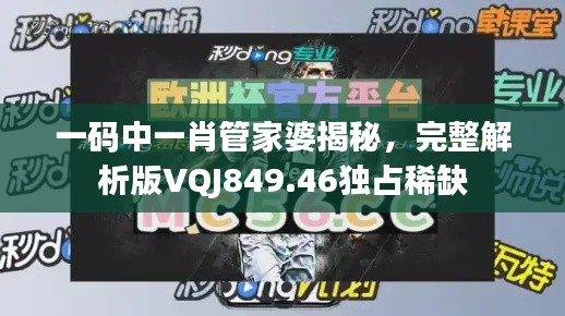 一码中一肖管家婆揭秘,完整解析版VQJ849.46独占稀缺