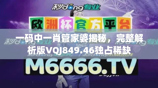 一码中一肖管家婆揭秘,完整解析版VQJ849.46独占稀缺