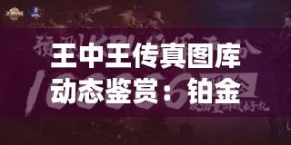 王中王传真图库动态鉴赏:铂金版KPL375.94精彩呈现