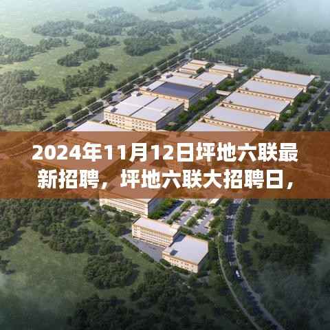 坪地六联大招聘日,友情、工作与人生的交响乐章开启于2024年11月12日