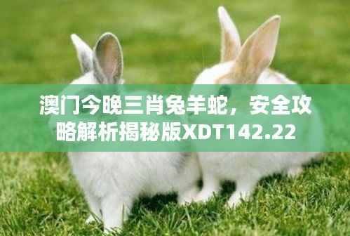 澳门今晚三肖兔羊蛇,安全攻略解析揭秘版XDT142.22