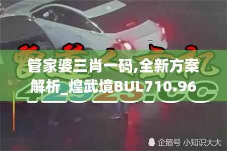管家婆三肖一码,全新方案解析_煌武境BUL710.96