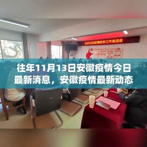 安徽疫情最新动态解读,往年11月13日深度剖析疫情消息的价值与影响
