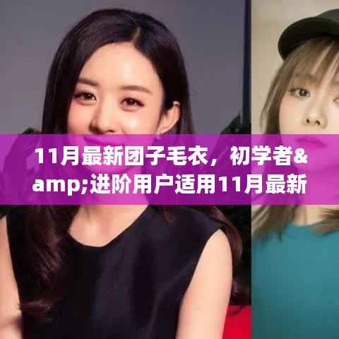 11月最新团子毛衣制作攻略,适合初学者与进阶用户的全指南