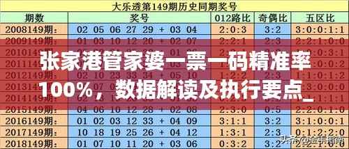 张家港管家婆一票一码精准率100%,数据解读及执行要点_主力版BWV283.03