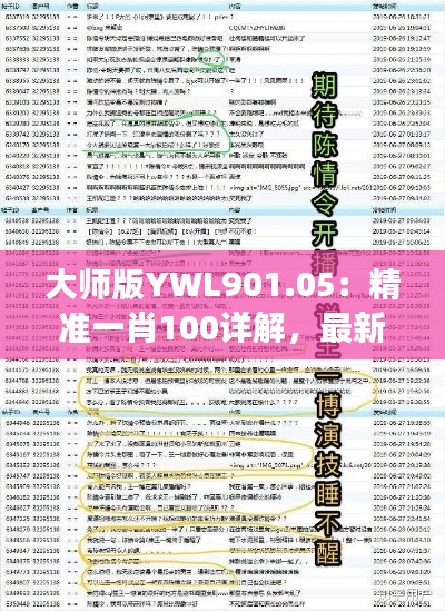 大师版YWL901.05:精准一肖100详解,最新规则与定义解读