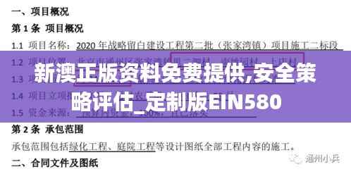 新澳正版资料免费提供,安全策略评估_定制版EIN580