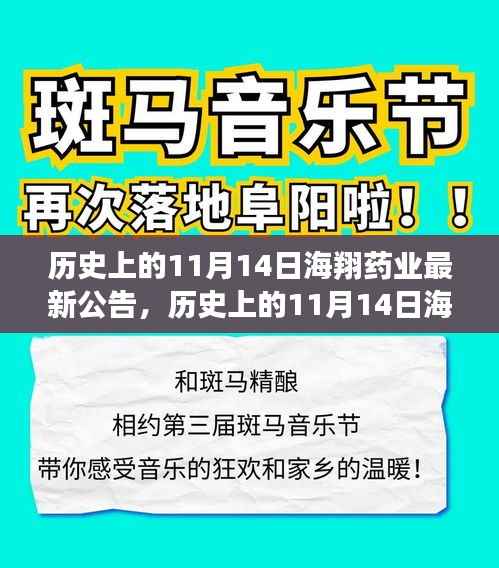 历史上的11月14日海翔药业最新公告及其解读与操作指南
