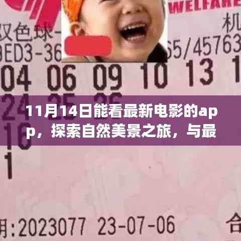 探索自然美景与最新电影相伴,11月最佳观影APP体验之旅