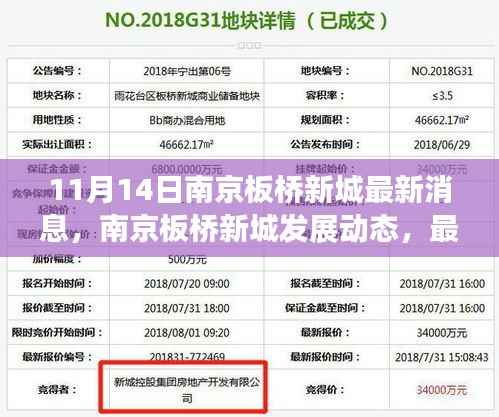 南京板桥新城最新动态深度解读与观点碰撞,11月14日更新消息