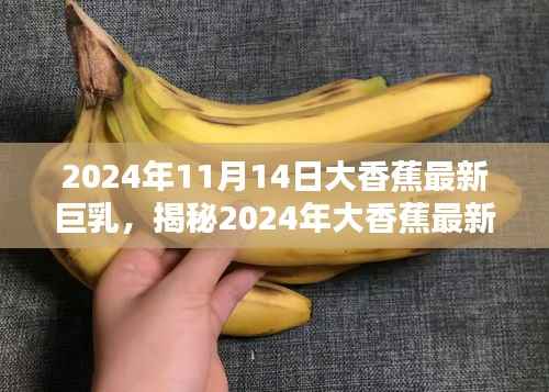 揭秘时尚前沿,揭秘2024年大香蕉最新巨乳趋势与产业新动态