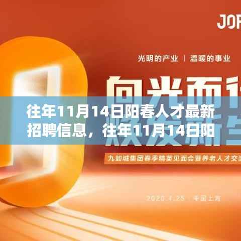 往年11月14日阳春人才最新招聘信息详解与全面评测