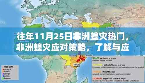 非洲蝗灾应对策略详解，从入门到进阶的指南与指南的重要性分析