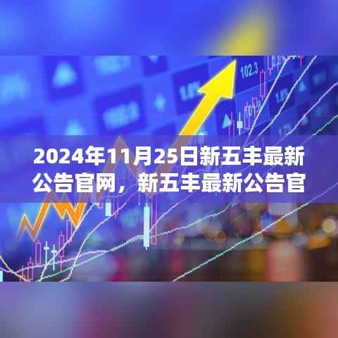 新五丰最新公告官网深度解析,特性、用户体验、竞品对比及用户群体分析